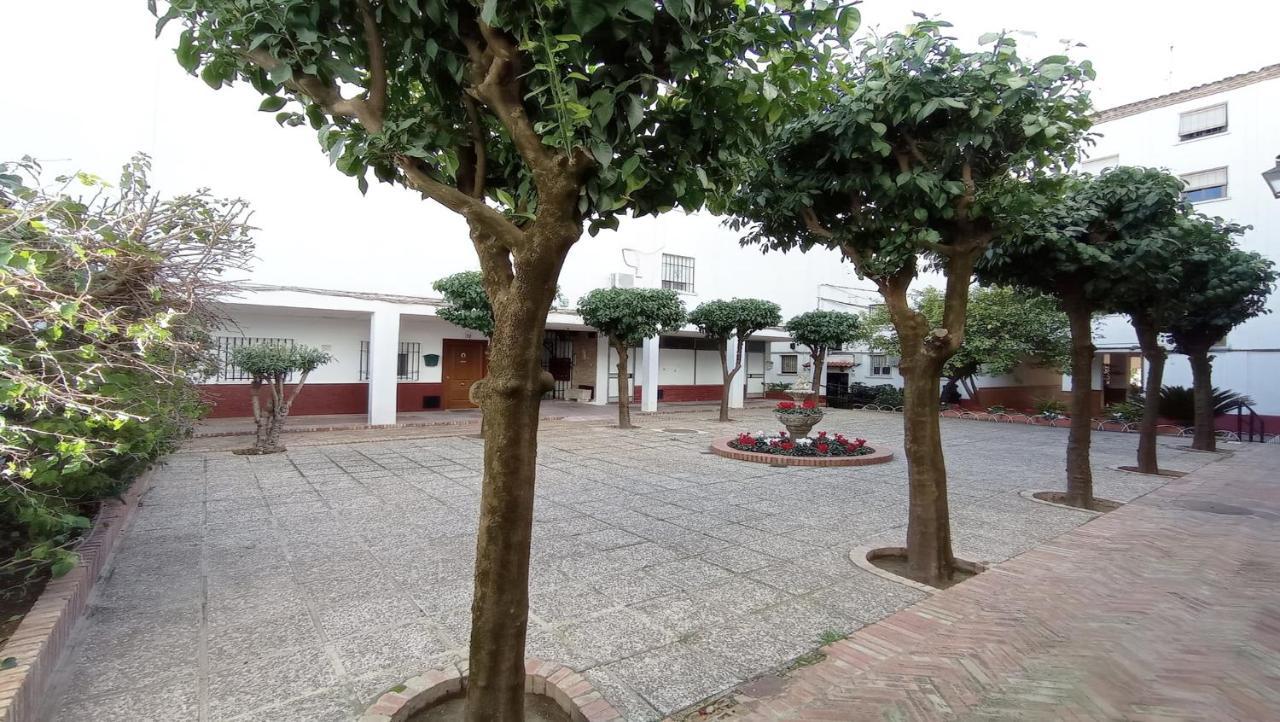 Apartamento Conde De Priego Cordoba Exterior photo